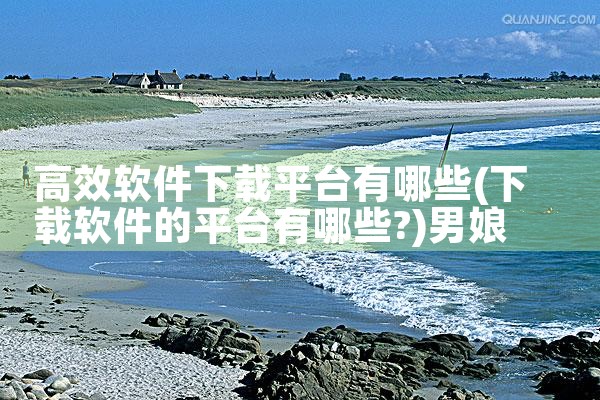 高效软件下载平台有哪些|男娘日记