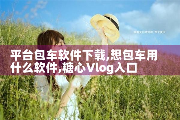平台包车软件下载|糖心Vlog入口