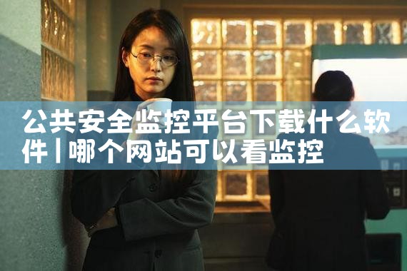 公共安全监控平台下载什么软件