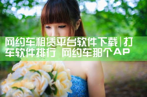 网约车租赁平台软件下载|糖心Vlog入口
