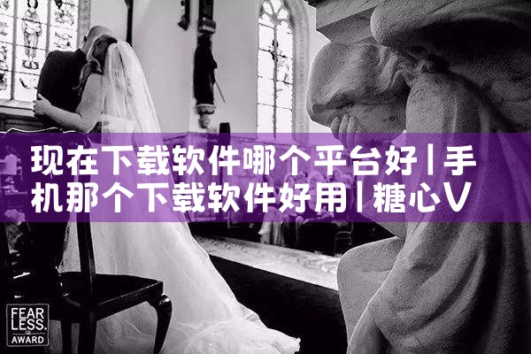 开源安卓软件下载平台|男娘日记