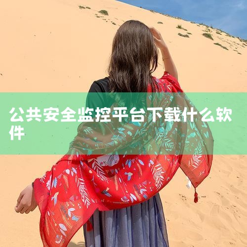 哪个网站可以看监控,天网是什么,如何快速选择性价比高的国标视频监控平台?,天网监控可以录像吗,怎么可以看到大马路的监控,