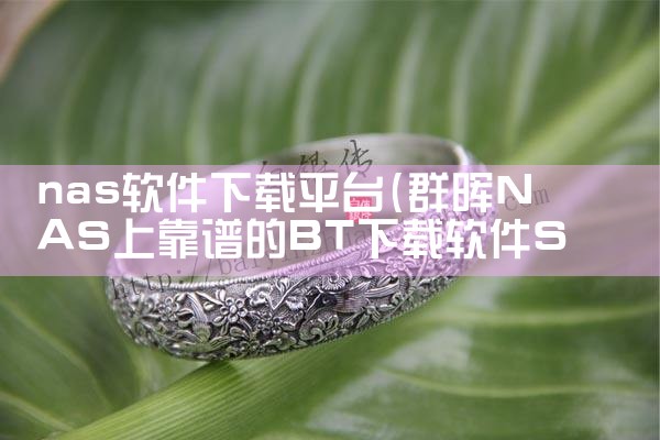 nas软件下载平台|糖心Vlog入口