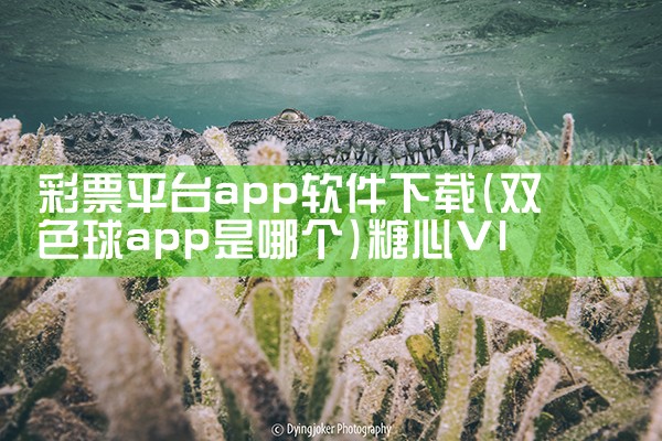 彩票平台app软件下载|糖心Vlog入口