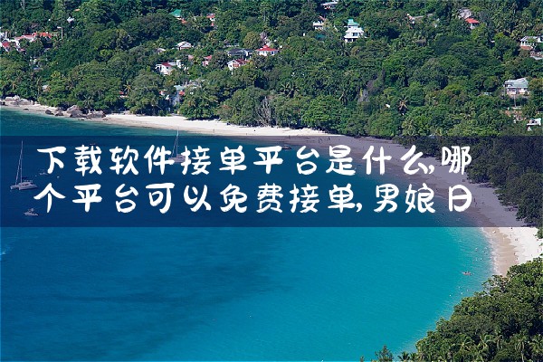 下载软件接单平台是什么|男娘日记