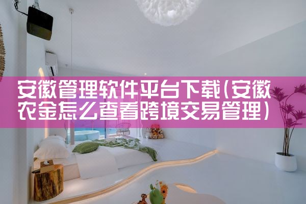安徽管理软件平台下载|糖心Vlog入口