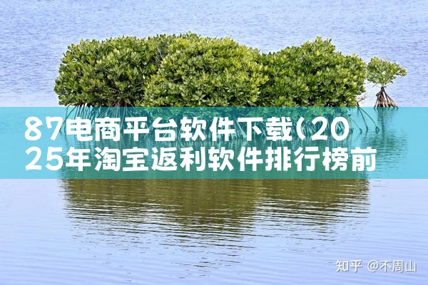 87电商平台软件下载|男娘日记